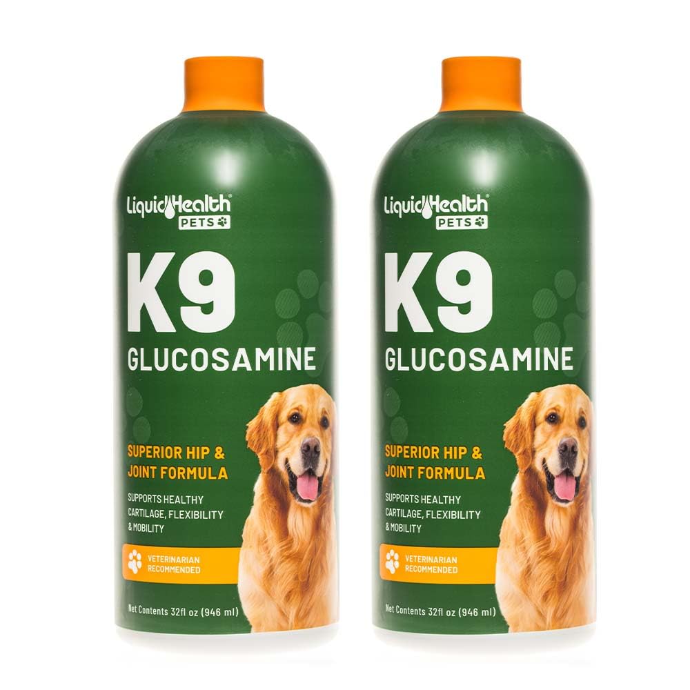 Liquid Glucosamine for Dogs with Chondroitin MSM Hyaluronic Acid 2 Pack Y892739