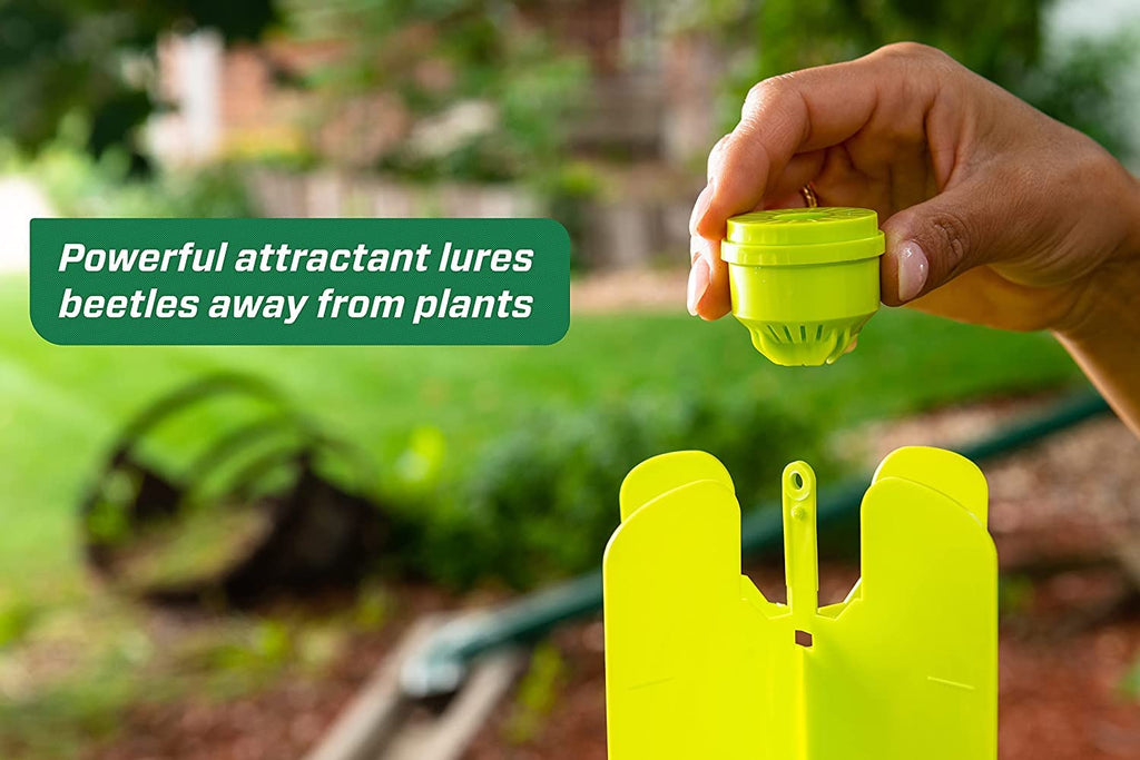 Japanese Beetle Trap Y408073