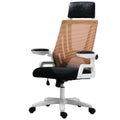 Ergonomic Mesh Office Chair with Tilt Function and Position Lock, Orange W61313