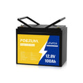 12V 100Ah LiFePO4 Battery P869601