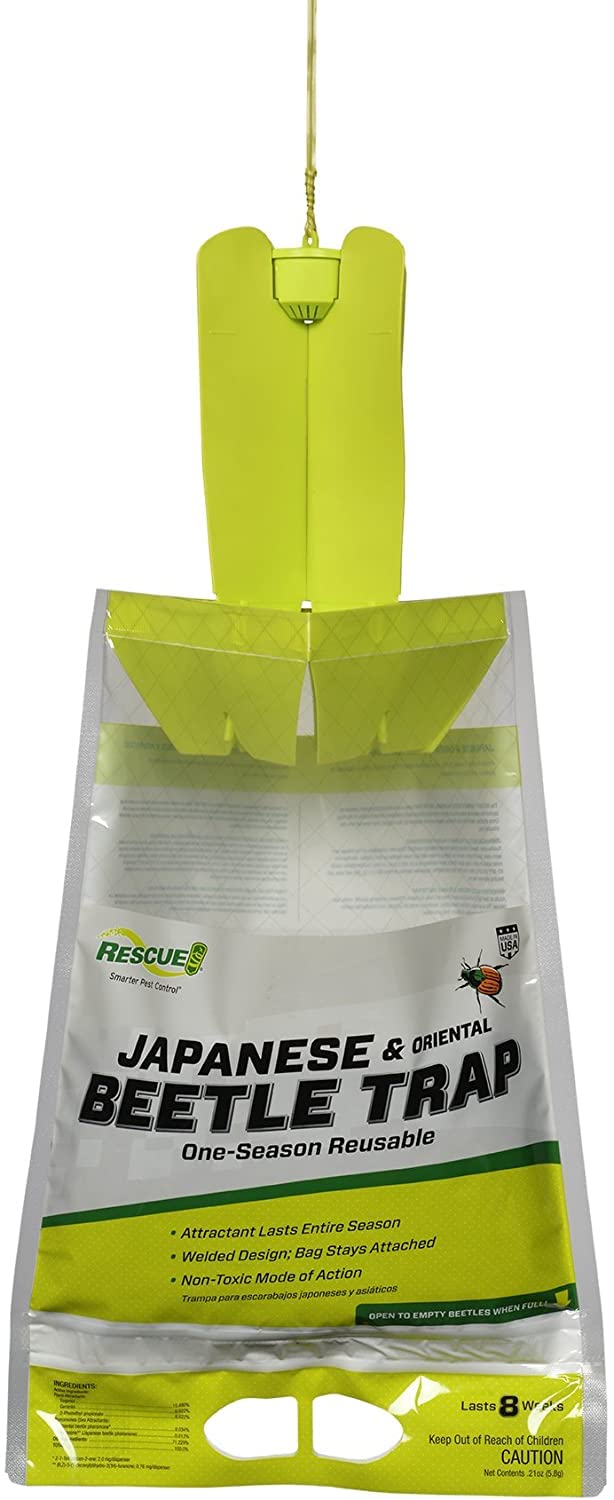 Japanese Beetle Trap Y408073