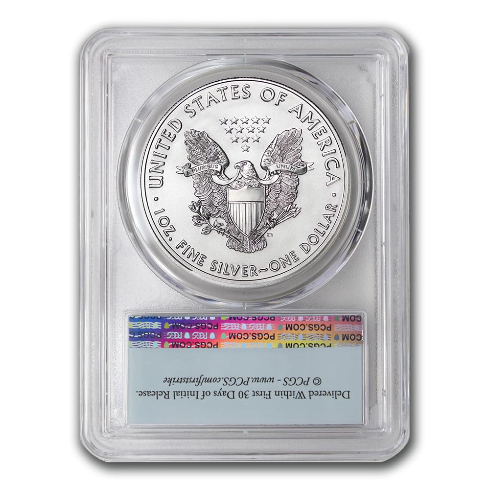 1 oz American Silver Eagle Coin K925310
