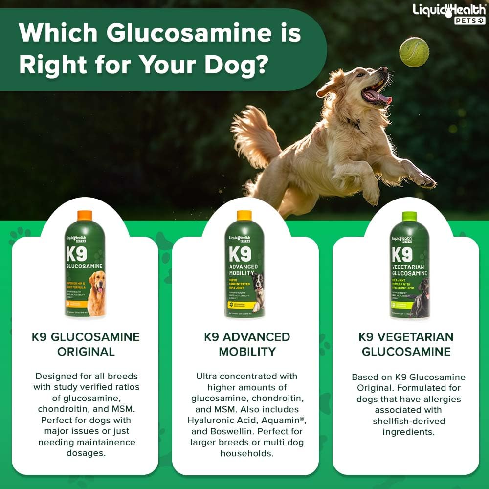 Liquid Glucosamine for Dogs with Chondroitin MSM Hyaluronic Acid 2 Pack Y892739