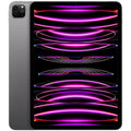 2022 iPad Pro 12.9-inch Wi-Fi + Cellular 256GB Space Gray V653152
