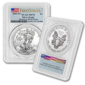 1 oz American Silver Eagle Coin K925310
