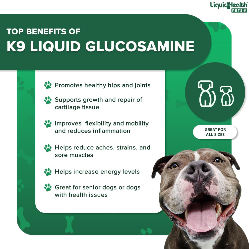 Liquid Glucosamine for Dogs with Chondroitin MSM Hyaluronic Acid 2 Pack Y892739