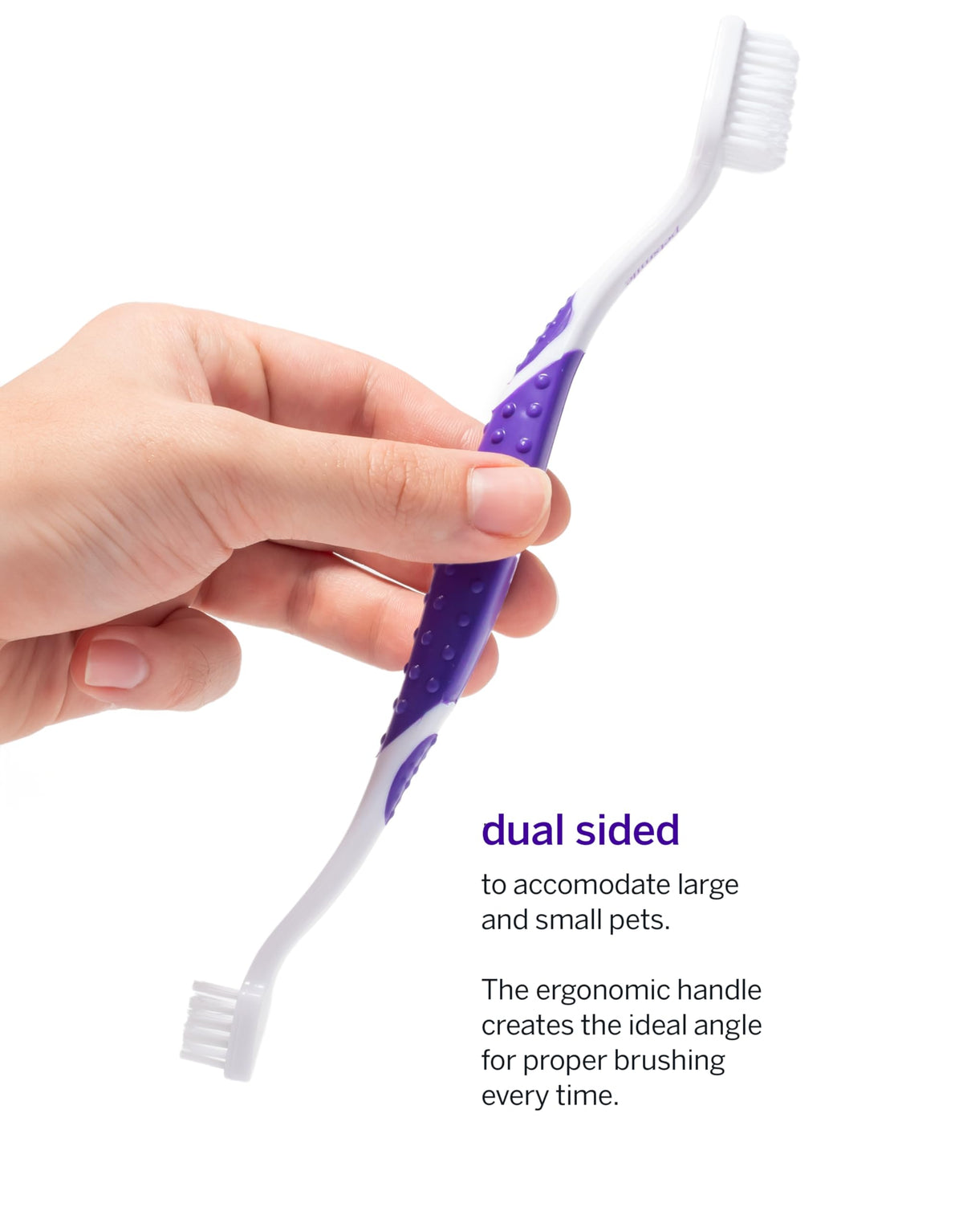 Pet Toothpaste and Brush Kit 2.5 Oz J504