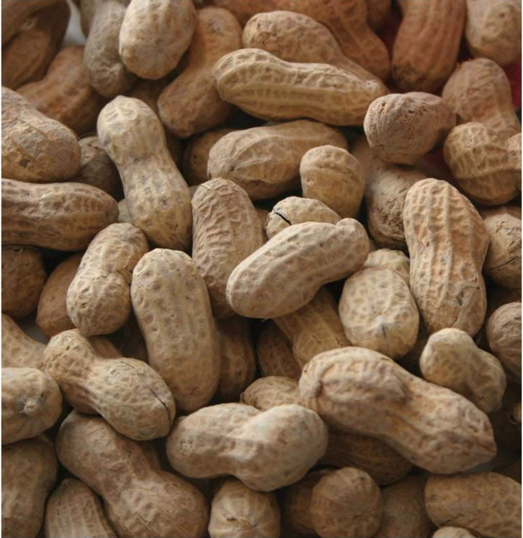 In-Shell Peanuts Wild Animal Food 25 Pound Bag Pack of 2 U951