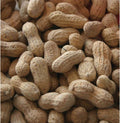 In-Shell Peanuts Wild Animal Food 25 Pound Bag Pack of 2 U951