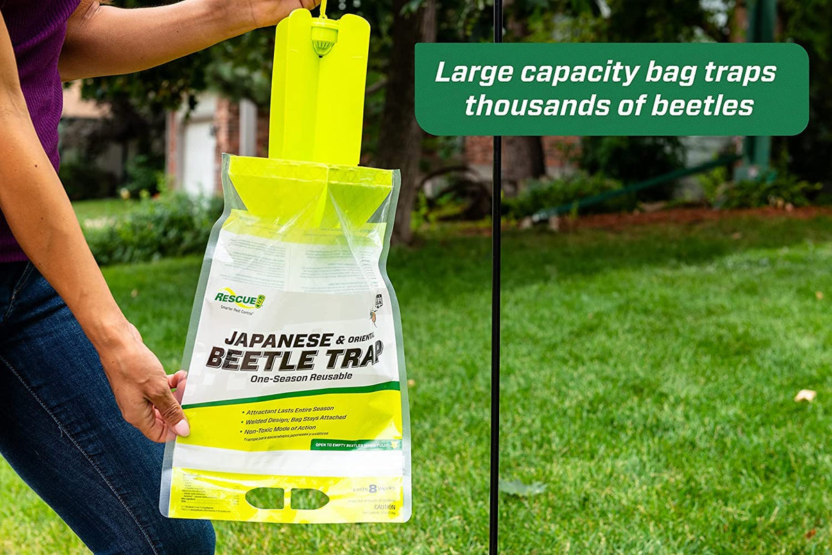 Japanese Beetle Trap Y408073