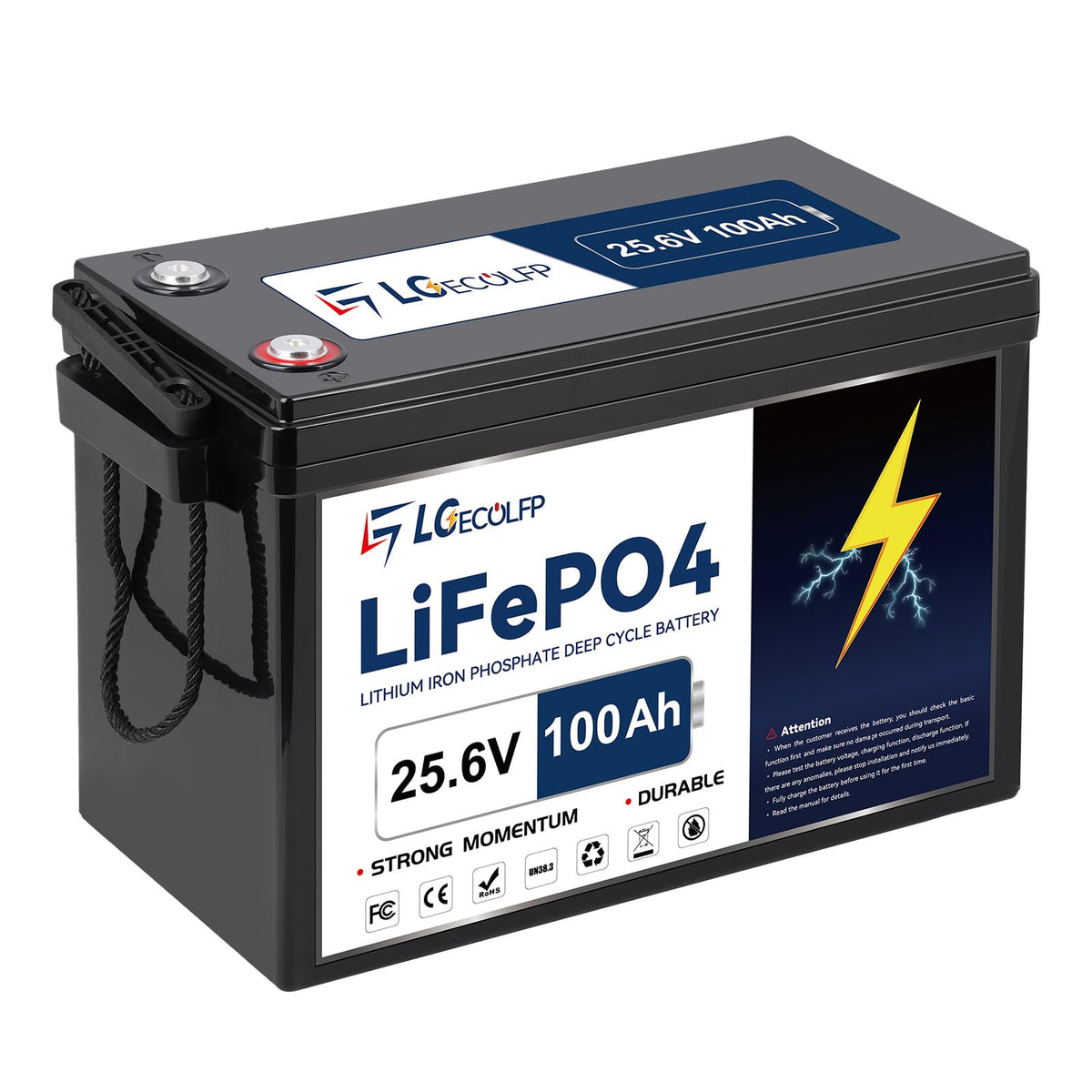 24V 100Ah LiFePO4 Battery with 100A BMS A5129