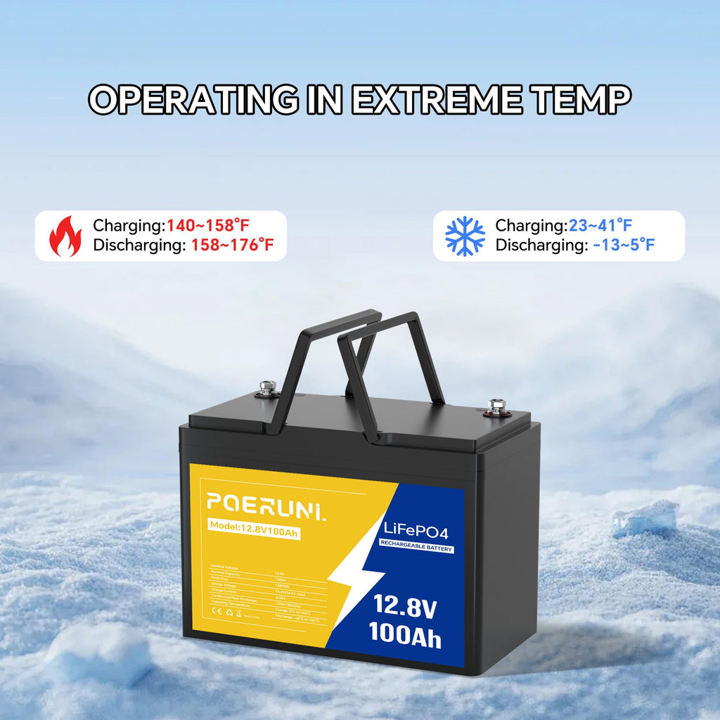 12V 100Ah LiFePO4 Battery P869601