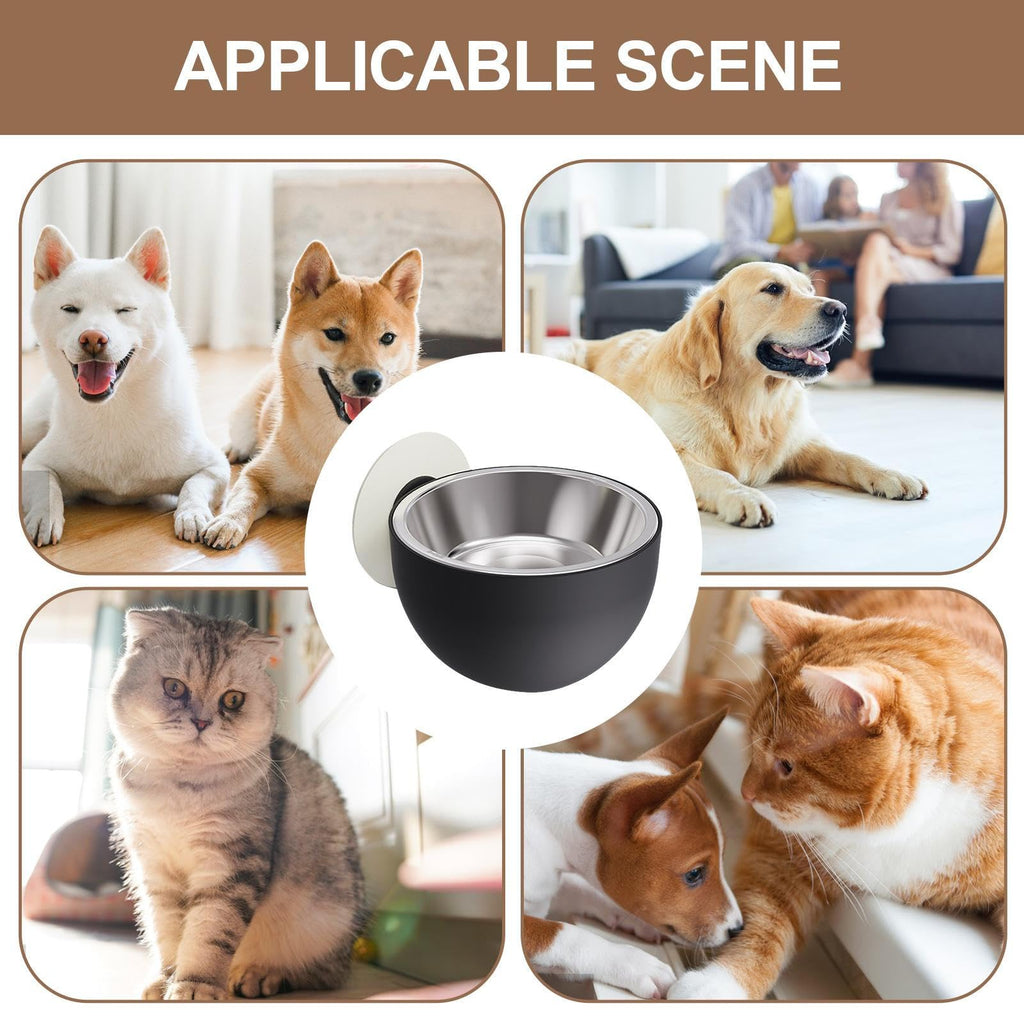 Wall Mounted Pet Bowls Dishwasher Safe Q8524