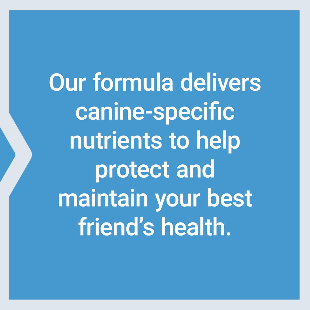 Dog Vitamins and Supplements 60 Servings W8254