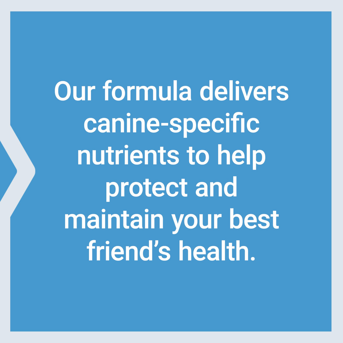 Dog Vitamins and Supplements 60 Servings W8254