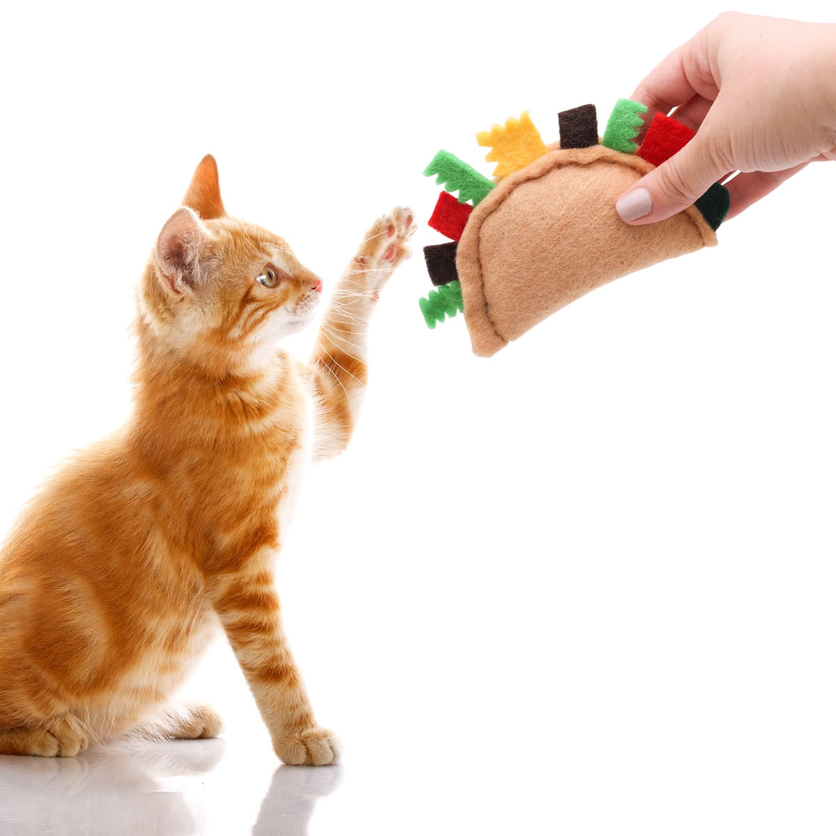 Felt Catnip Cat Toys 2 Pcs Q672