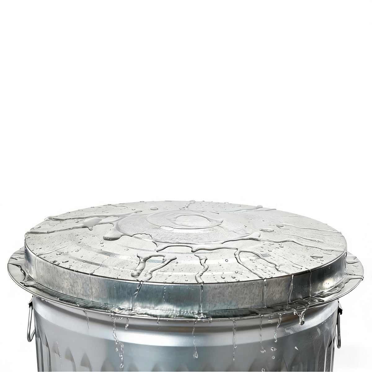 31 Gallon Galvanized Steel Trash Can with Lid Q473910
