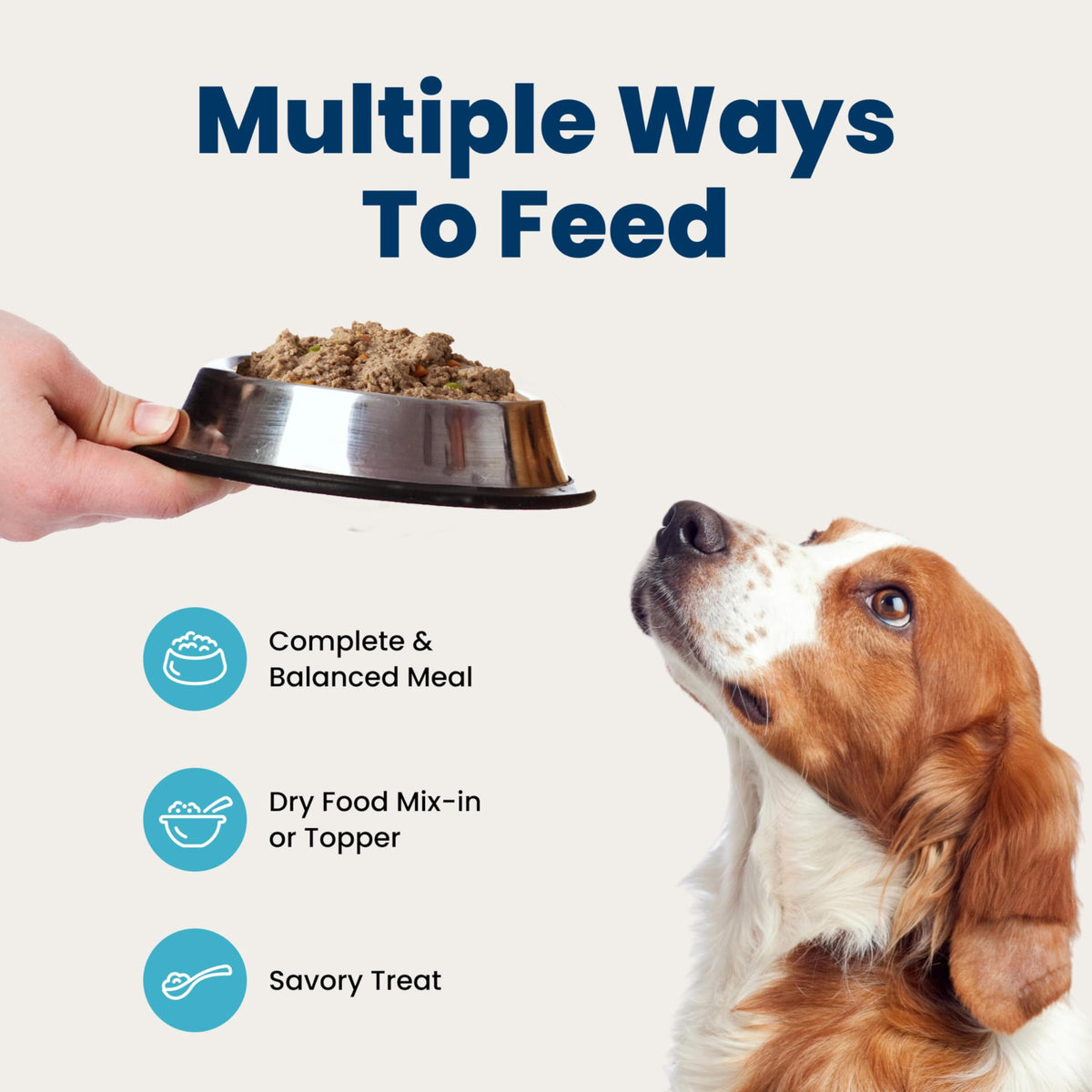 Wet Dog Food 12.5 oz 6 ct E586
