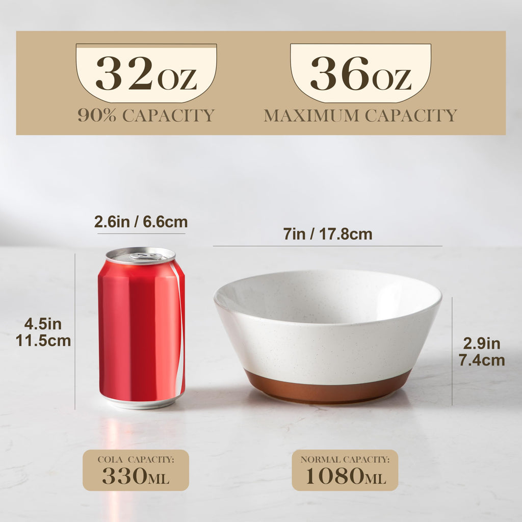Ceramic Soup Bowl Set of 4 and Baking Dish B79892