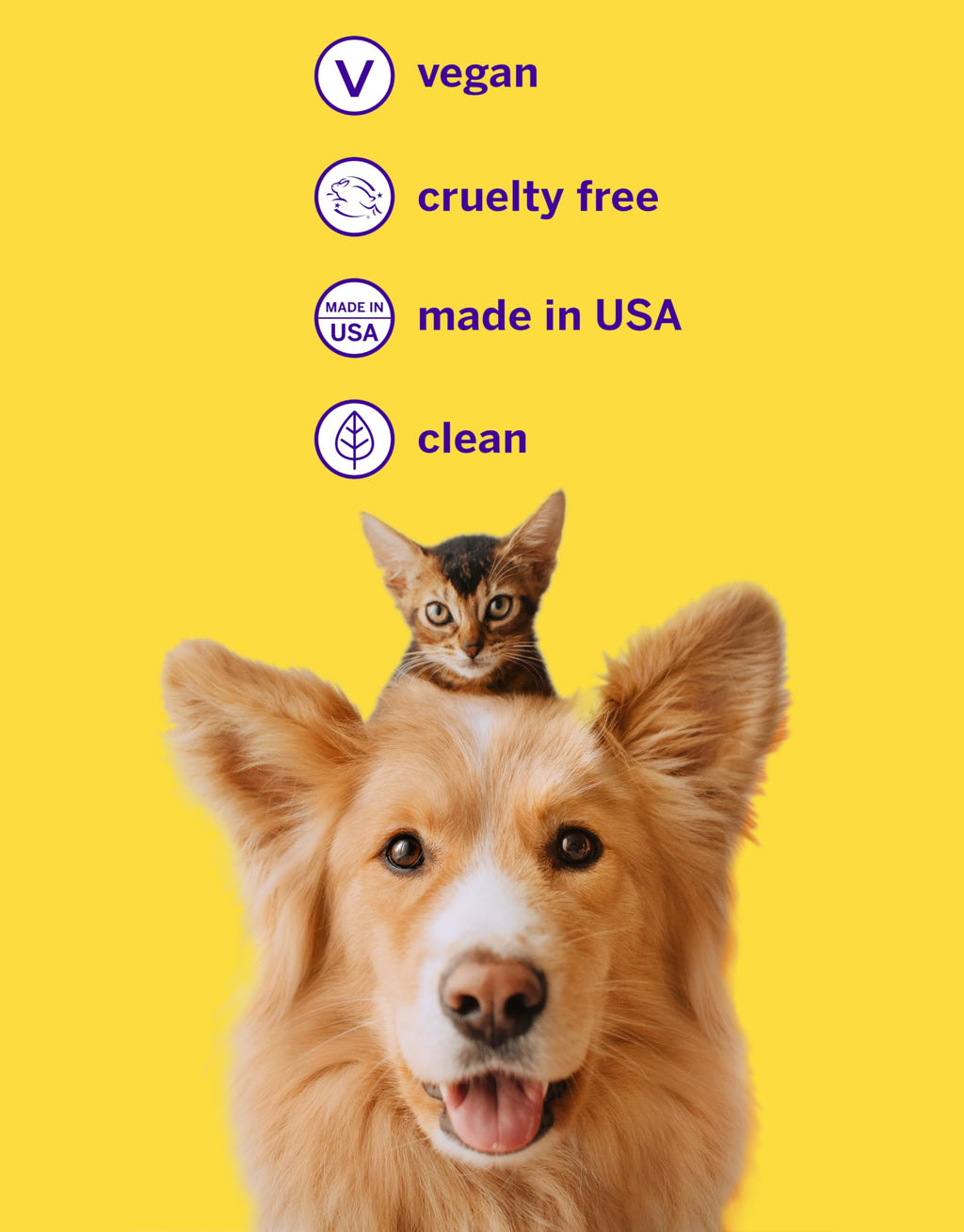 Pet Toothpaste and Brush Kit 2.5 Oz J504