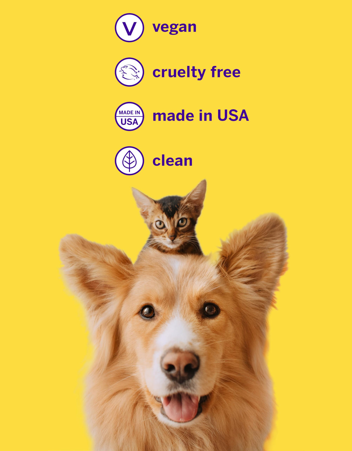 Pet Toothpaste and Brush Kit 2.5 Oz J504