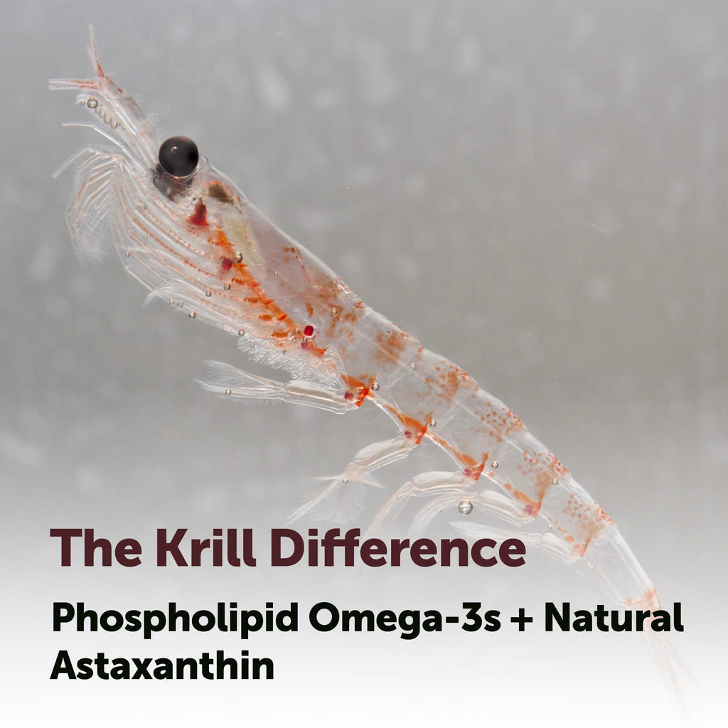 Antarctic Krill Oil 1,000 mg 300 Softgels Omega-3 EPA & DHA X234581