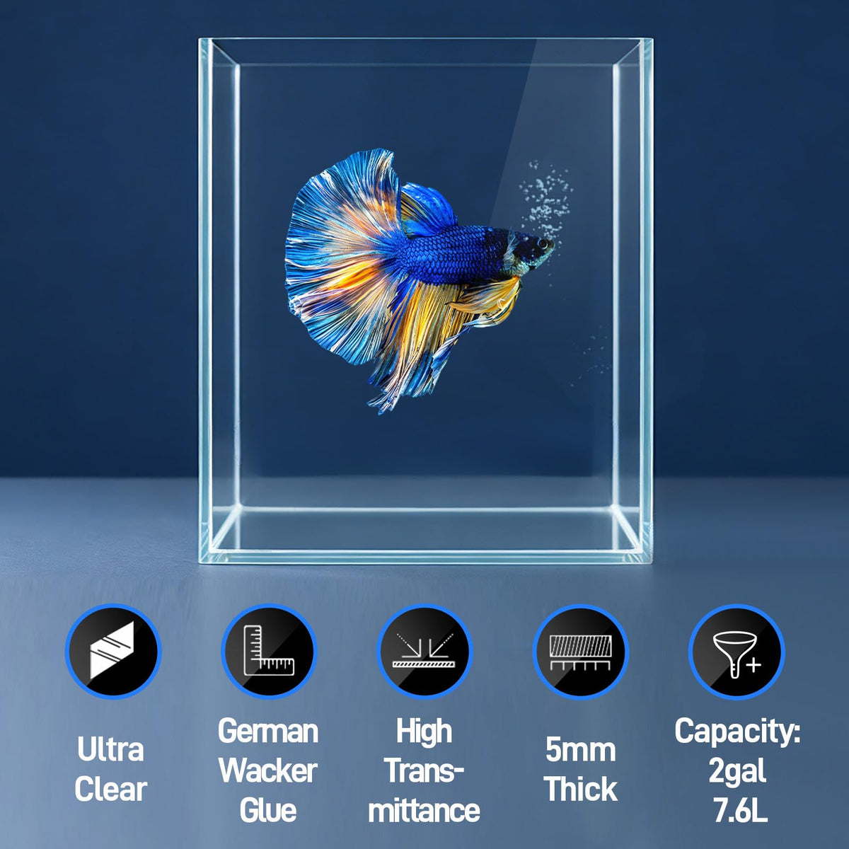 2 Gallon Glass Fish Tank Starter Kit with Fish Net H936