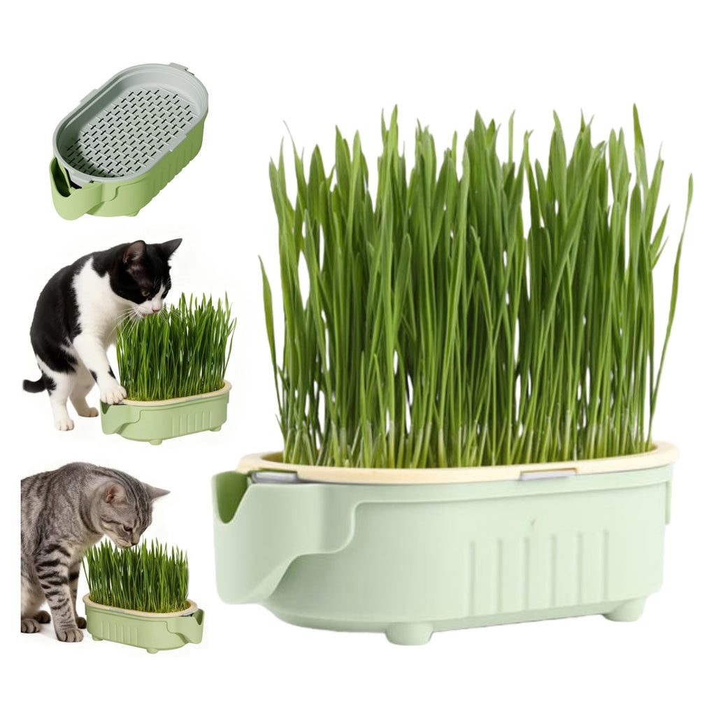 Hydroponic Cat Grass Growing Kit with Germination Tray G81260