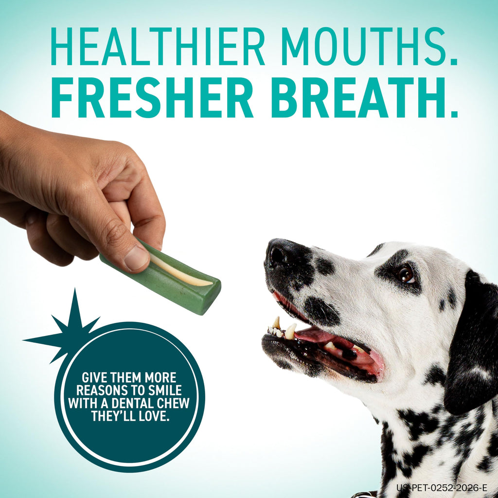 Dental Chews for Dogs 30 Count S438