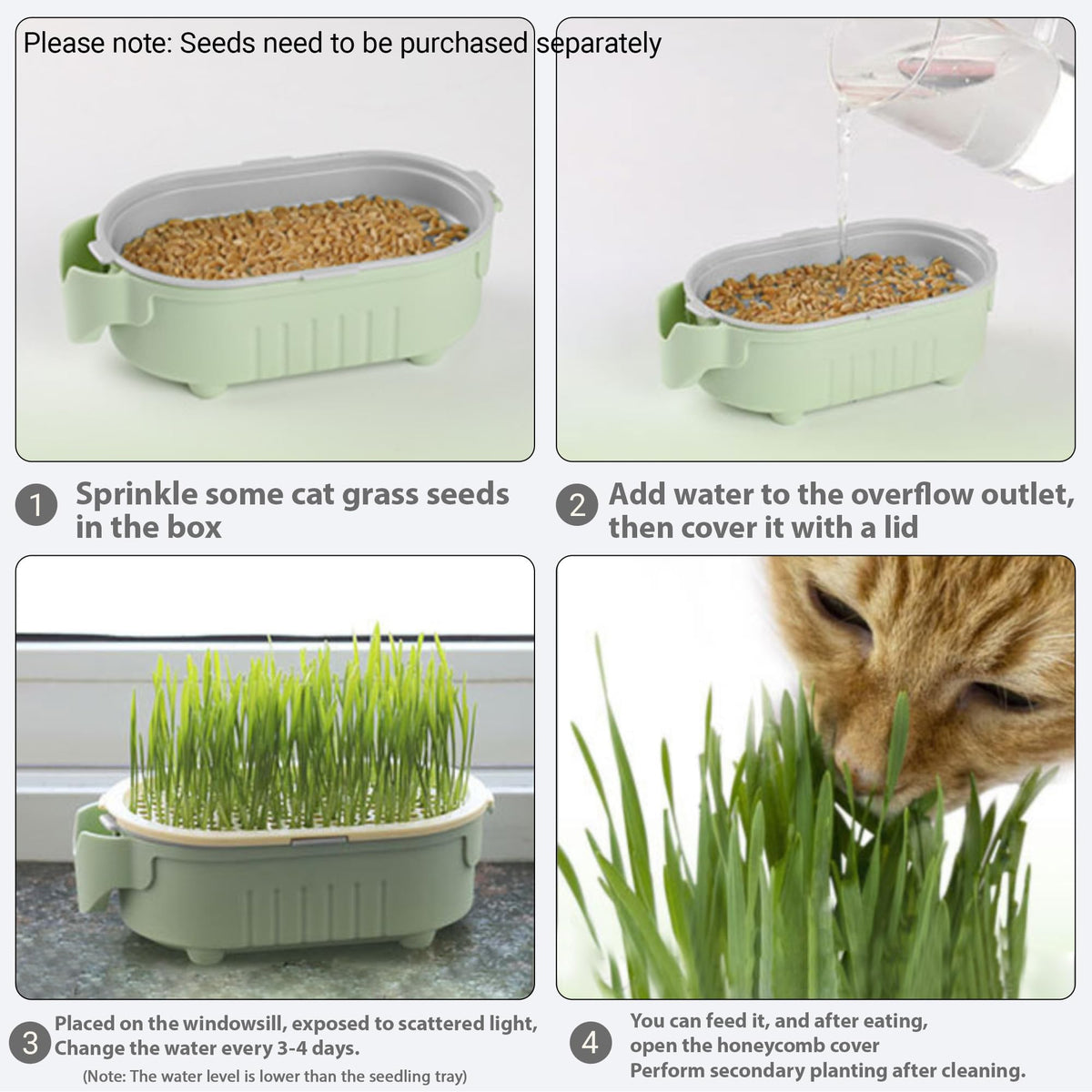 Hydroponic Cat Grass Growing Kit with Germination Tray G81260