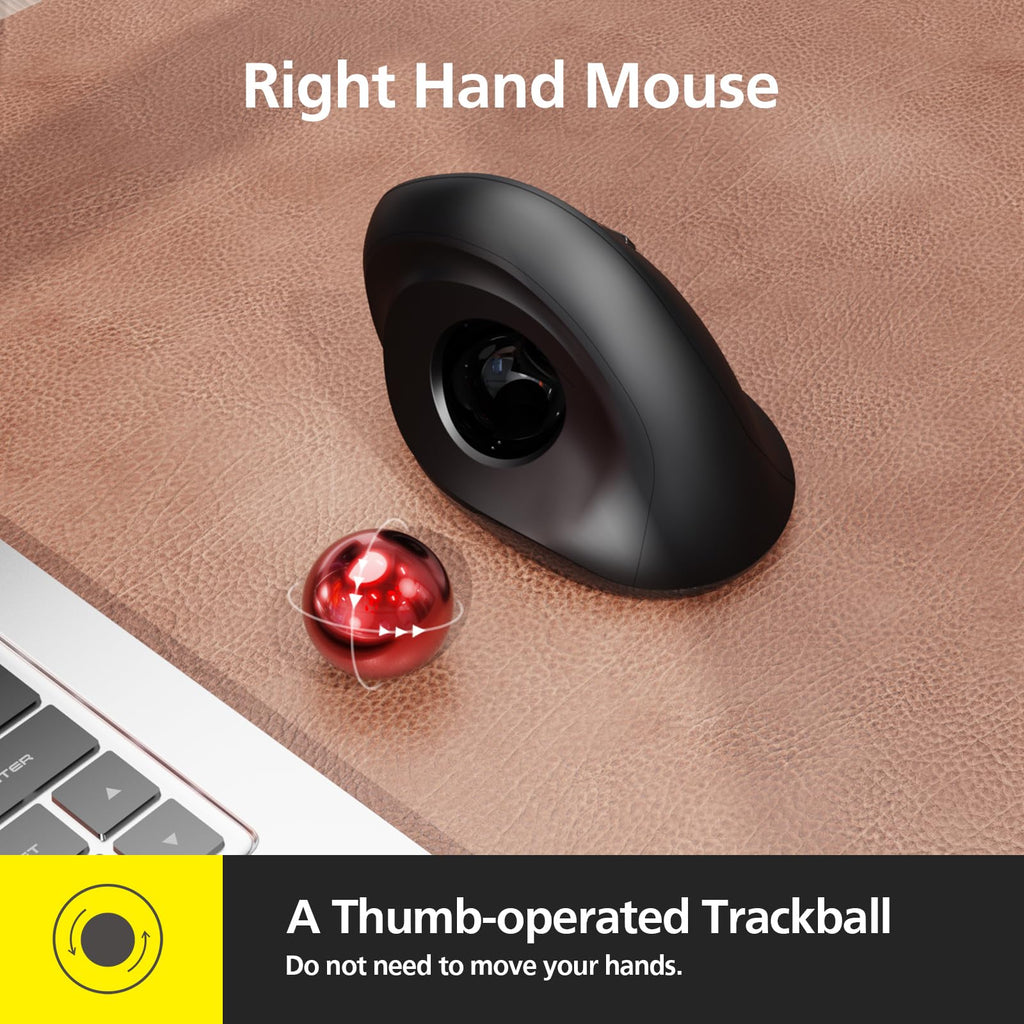 Wireless Ergonomic Trackball Mouse, 3 Adjustable DPI, Black F600484