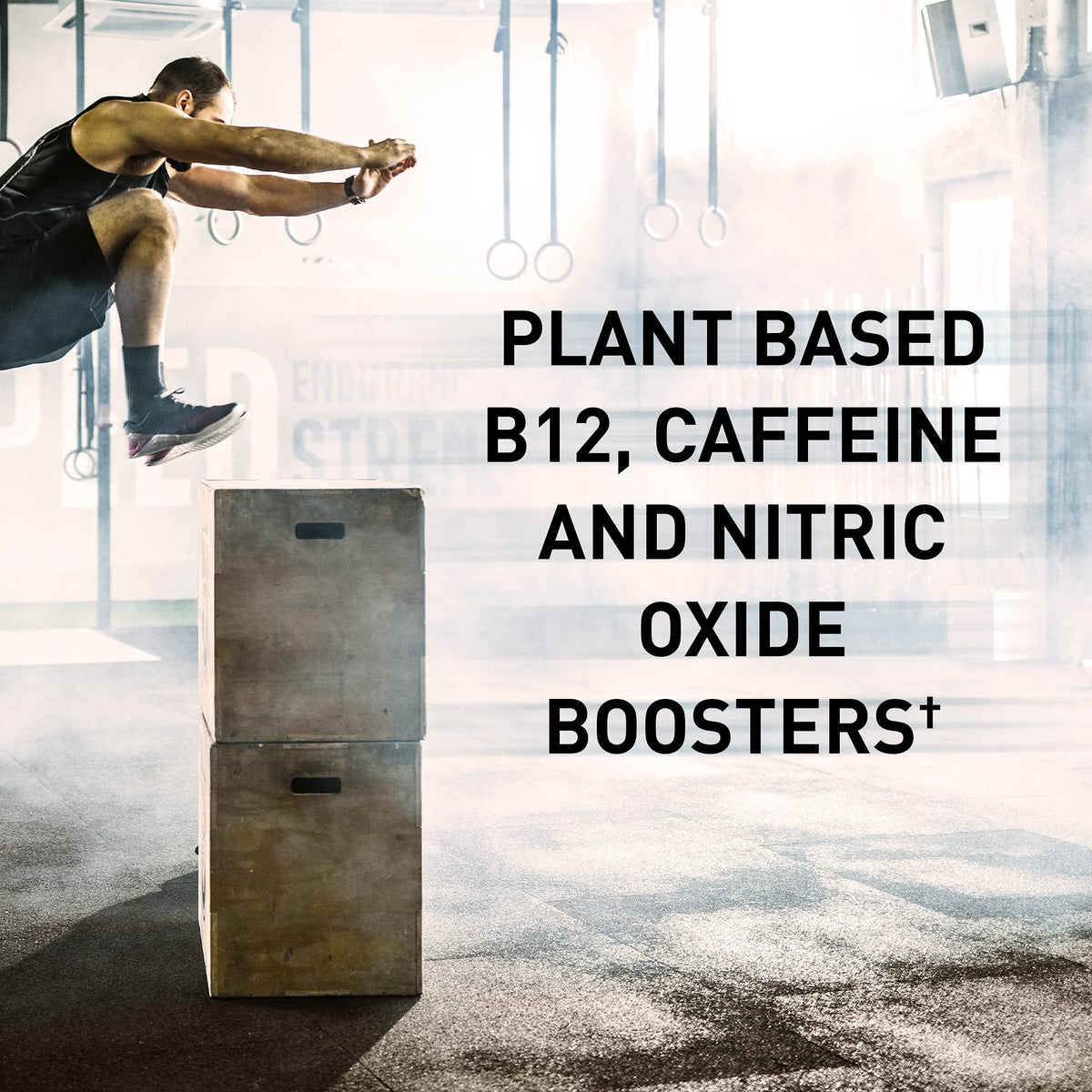 Organic Plant-Based Post Workout Recovery Powder & Pre Workout Energy Powder Bundle G258