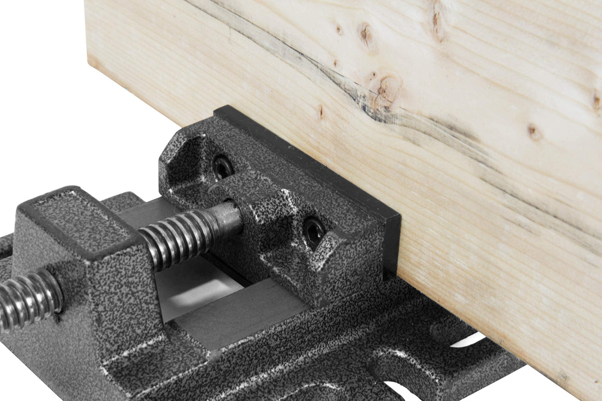 8-Inch 5-Speed Cast Iron Benchtop Drill Press with Vise I7539
