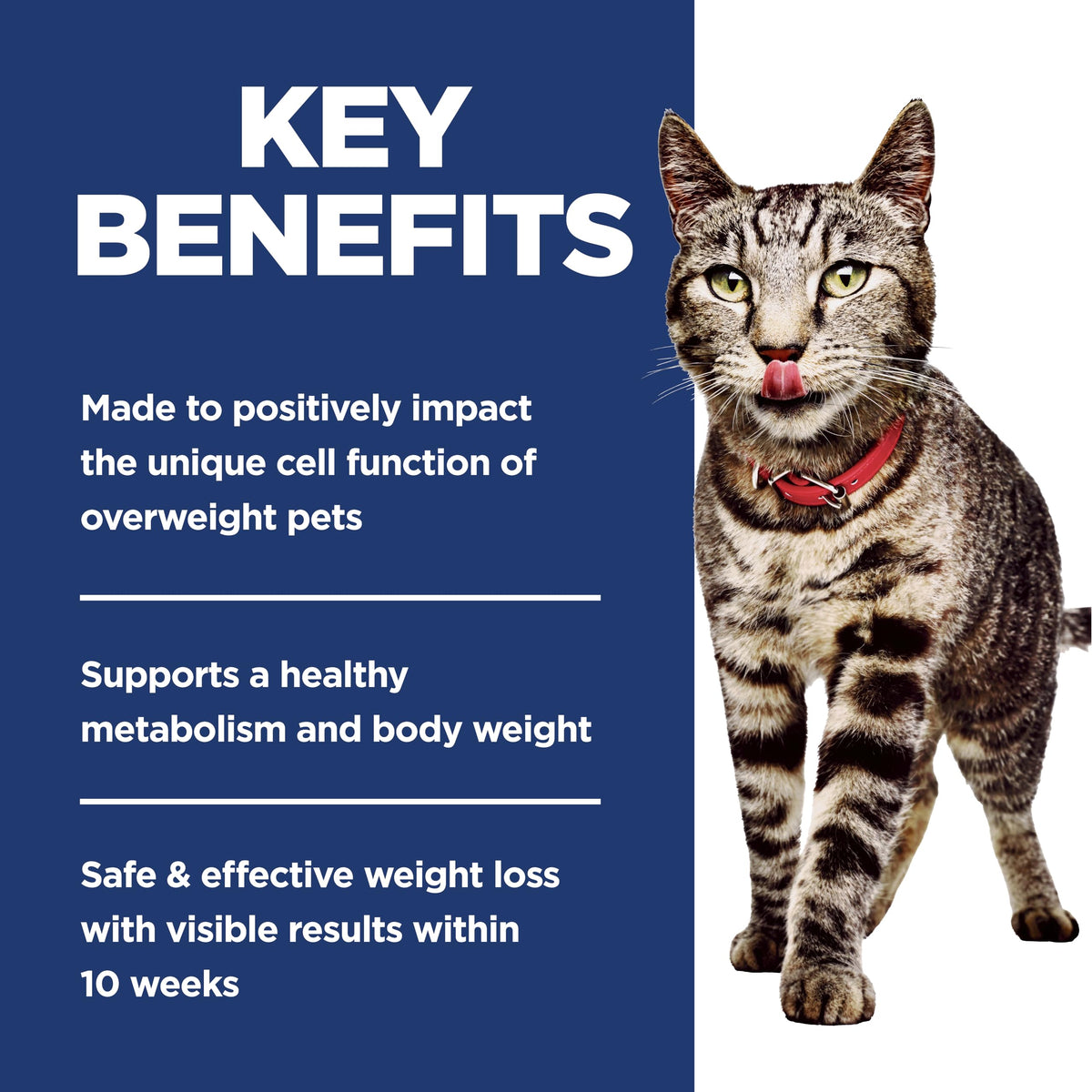 Adult Perfect Weight Dry Cat Food U228