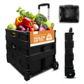 Collapsible 2 Wheel Utility Cart with Telescopic Handle, Black Q790253