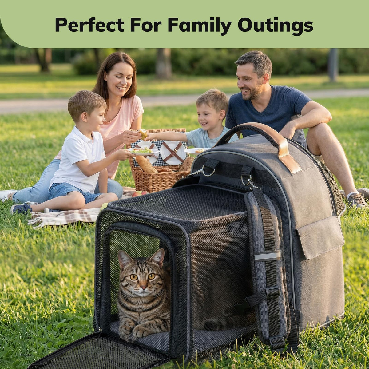 Expandable Cat Carrier Backpack D1133