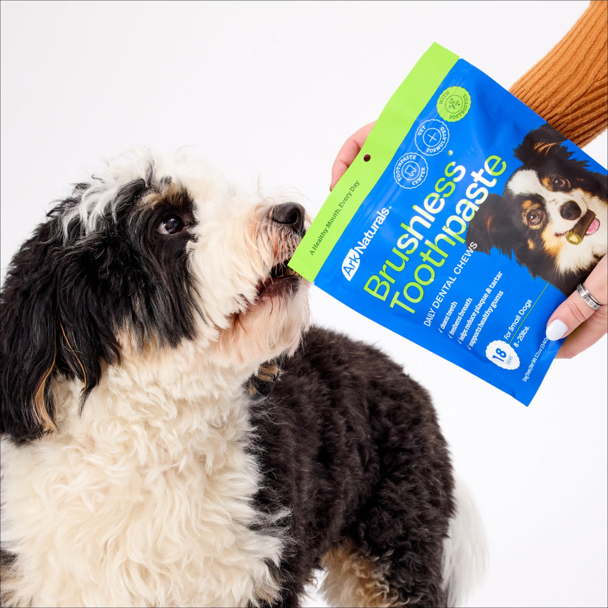 Brushless Toothpaste Dog Dental Treats Small Breeds 18 ct C891580