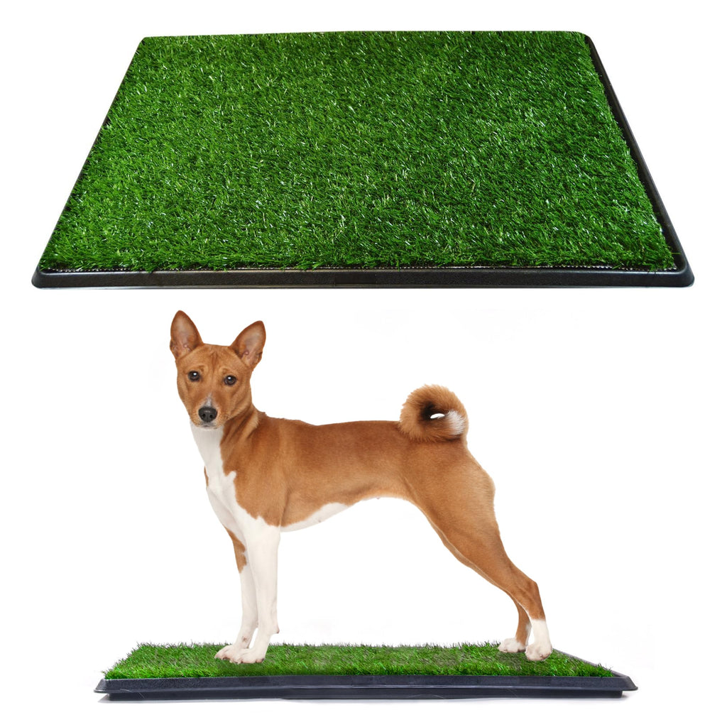 Dog Grass Pad with Tray 20 x 25 A85034