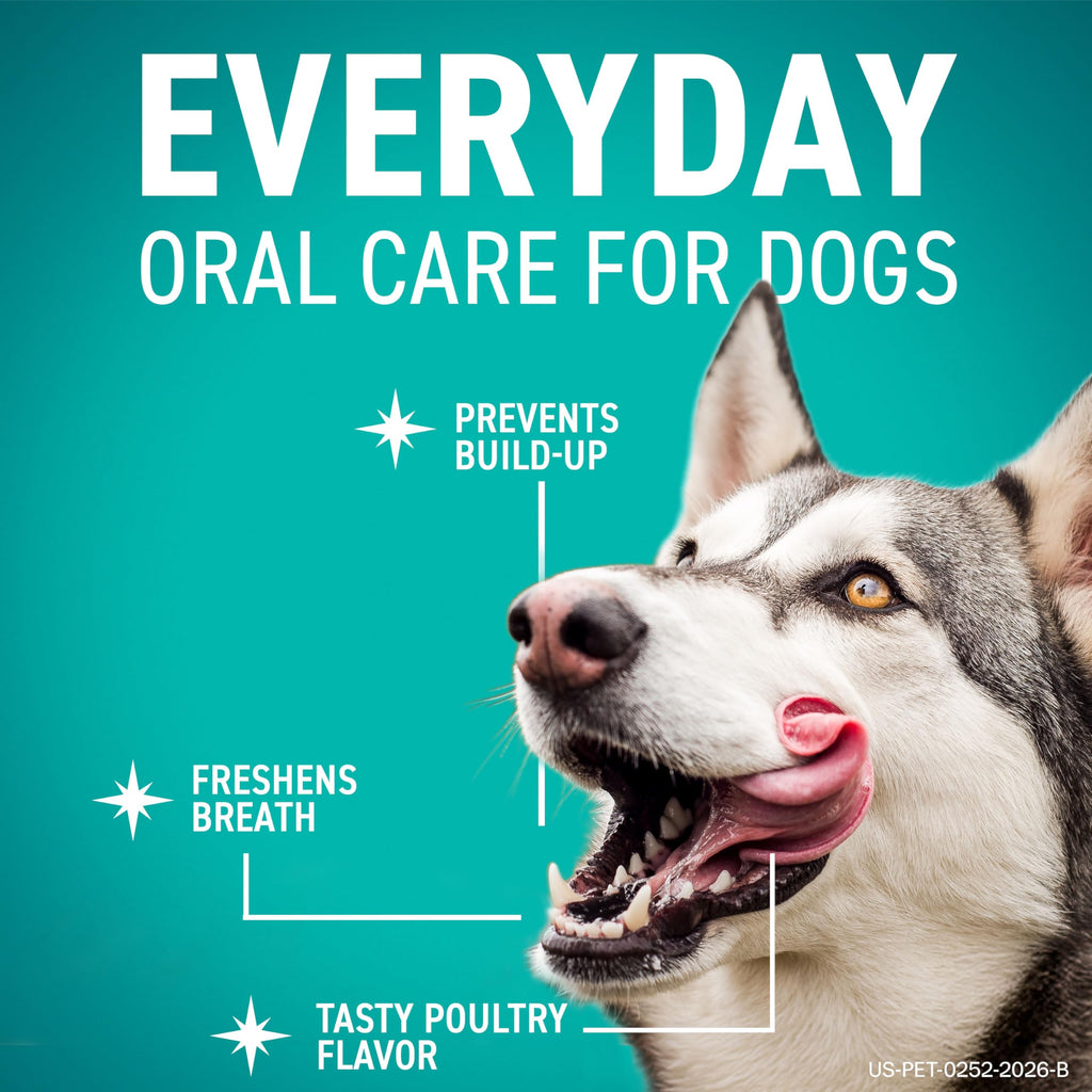 Dental Chews for Dogs 30 Count S438