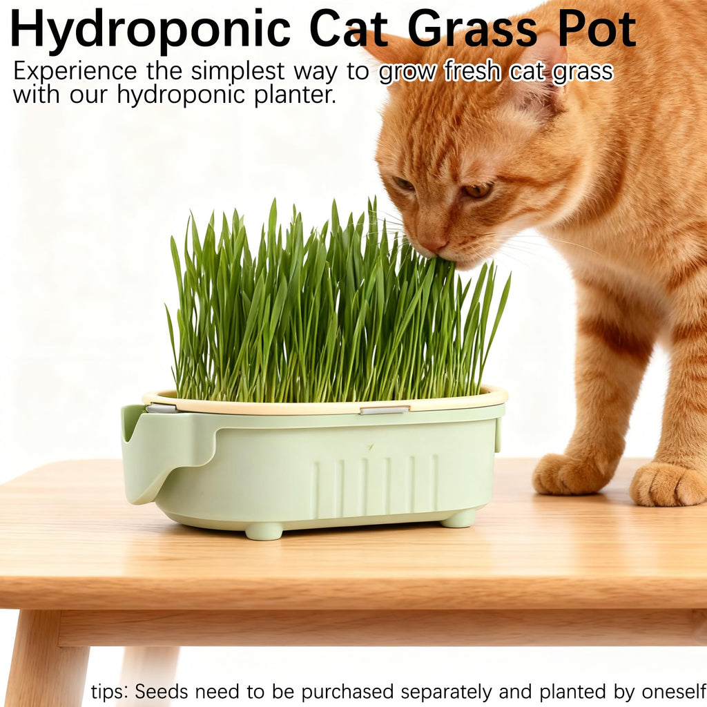 Hydroponic Cat Grass Growing Kit with Germination Tray G81260