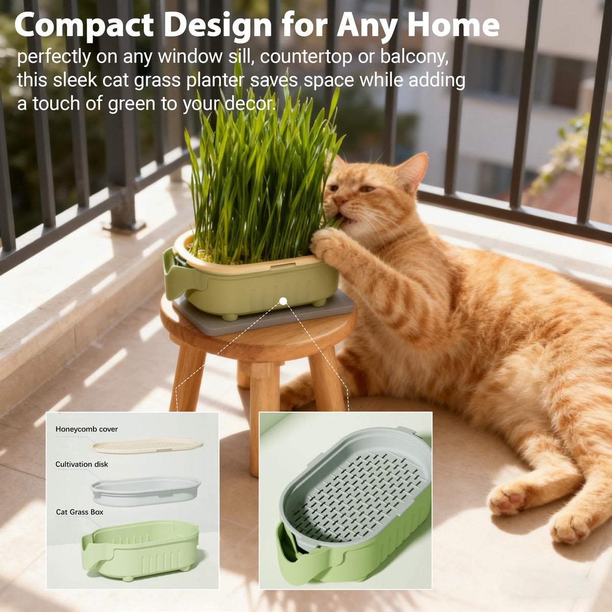 Hydroponic Cat Grass Growing Kit with Germination Tray G81260