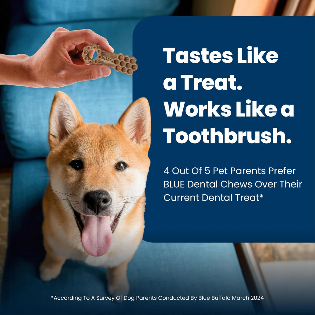 Chicken & Spearmint Large Dental Chews, 33 oz, 21 ct G3971