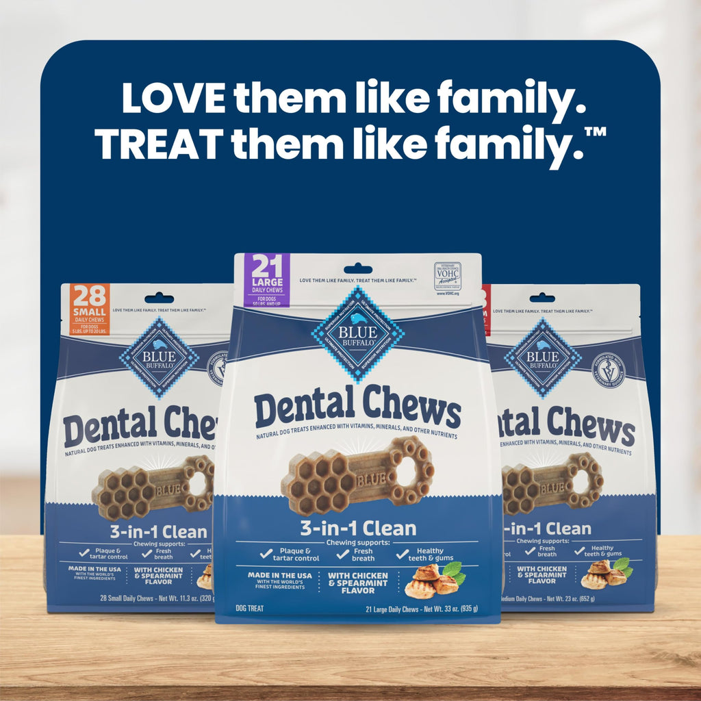 Chicken & Spearmint Large Dental Chews, 33 oz, 21 ct G3971