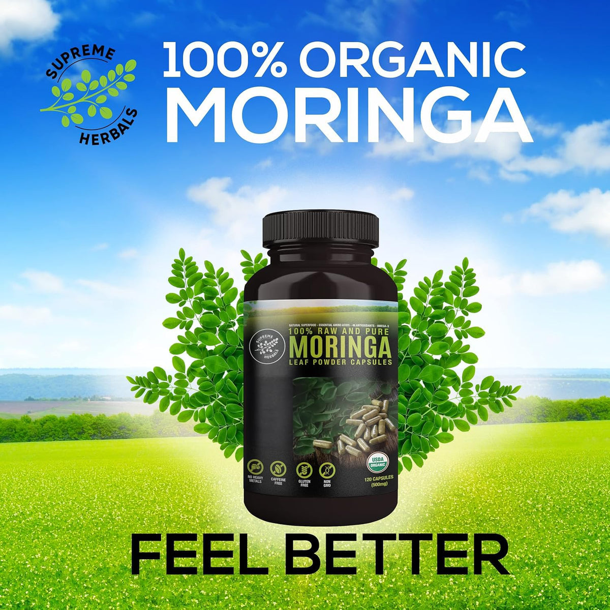 Organic Moringa Leaf Powder Capsules 500mg 120 Capsules D524986