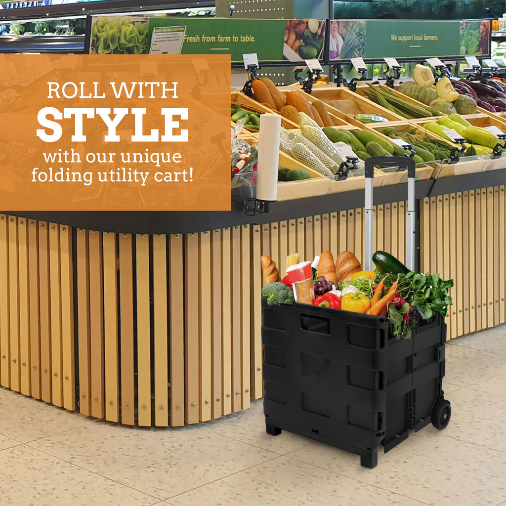 Collapsible 2 Wheel Utility Cart with Telescopic Handle, Black Q790253