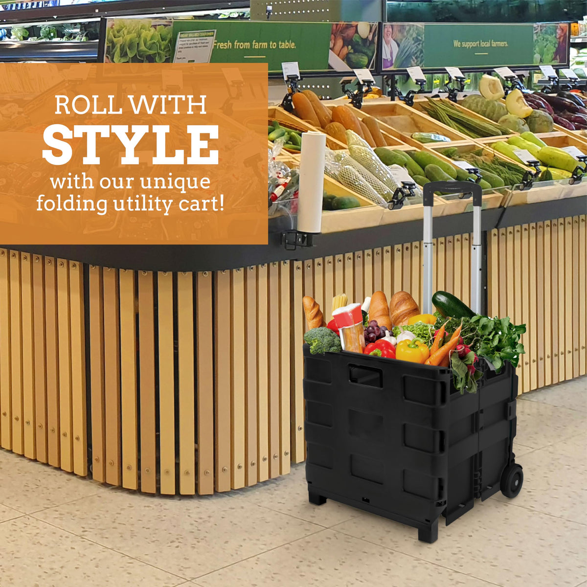 Collapsible 2 Wheel Utility Cart with Telescopic Handle, Black Q790253
