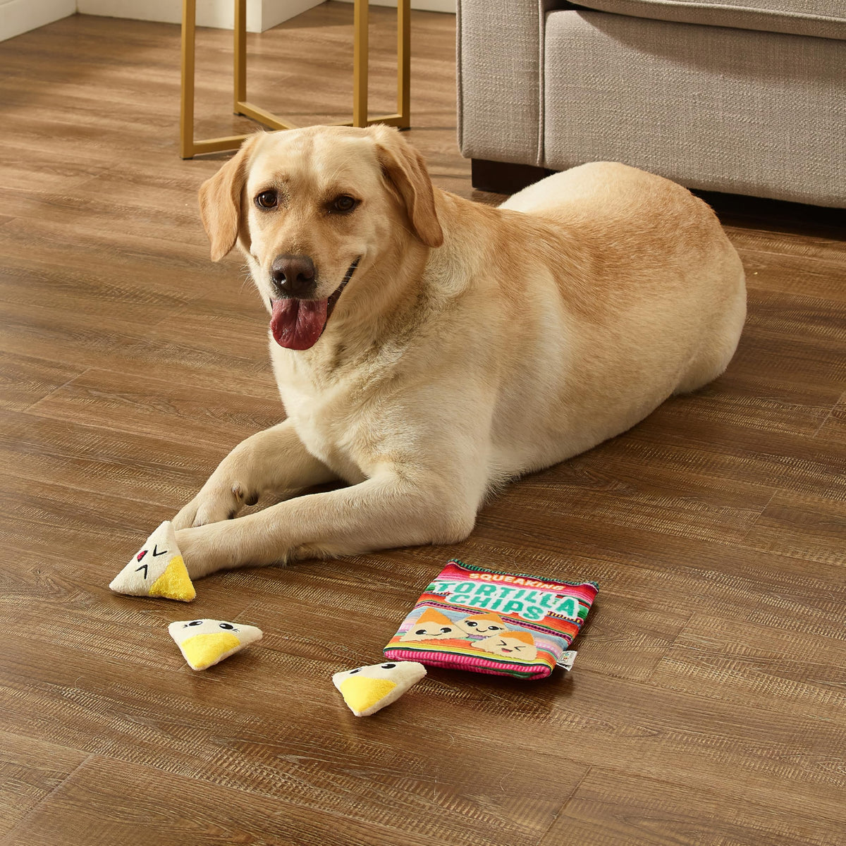 Tortilla Chips Puzzle Squeaky Dog Toys J851739