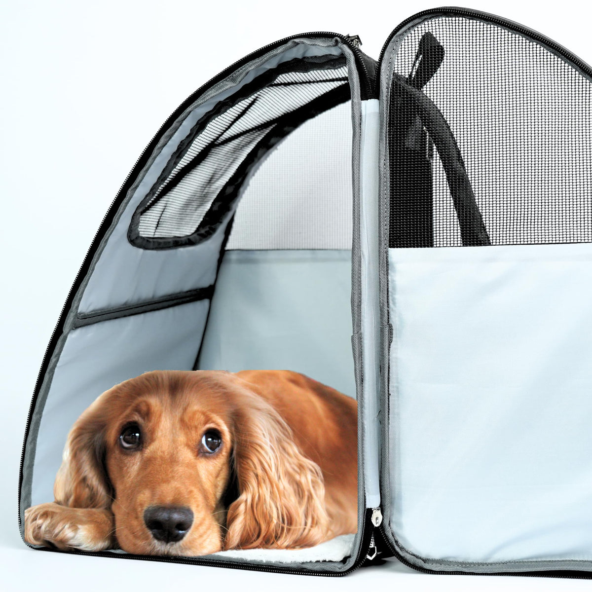 Pet Backpack Carrier for Dogs, Cats and Small Pets B9239