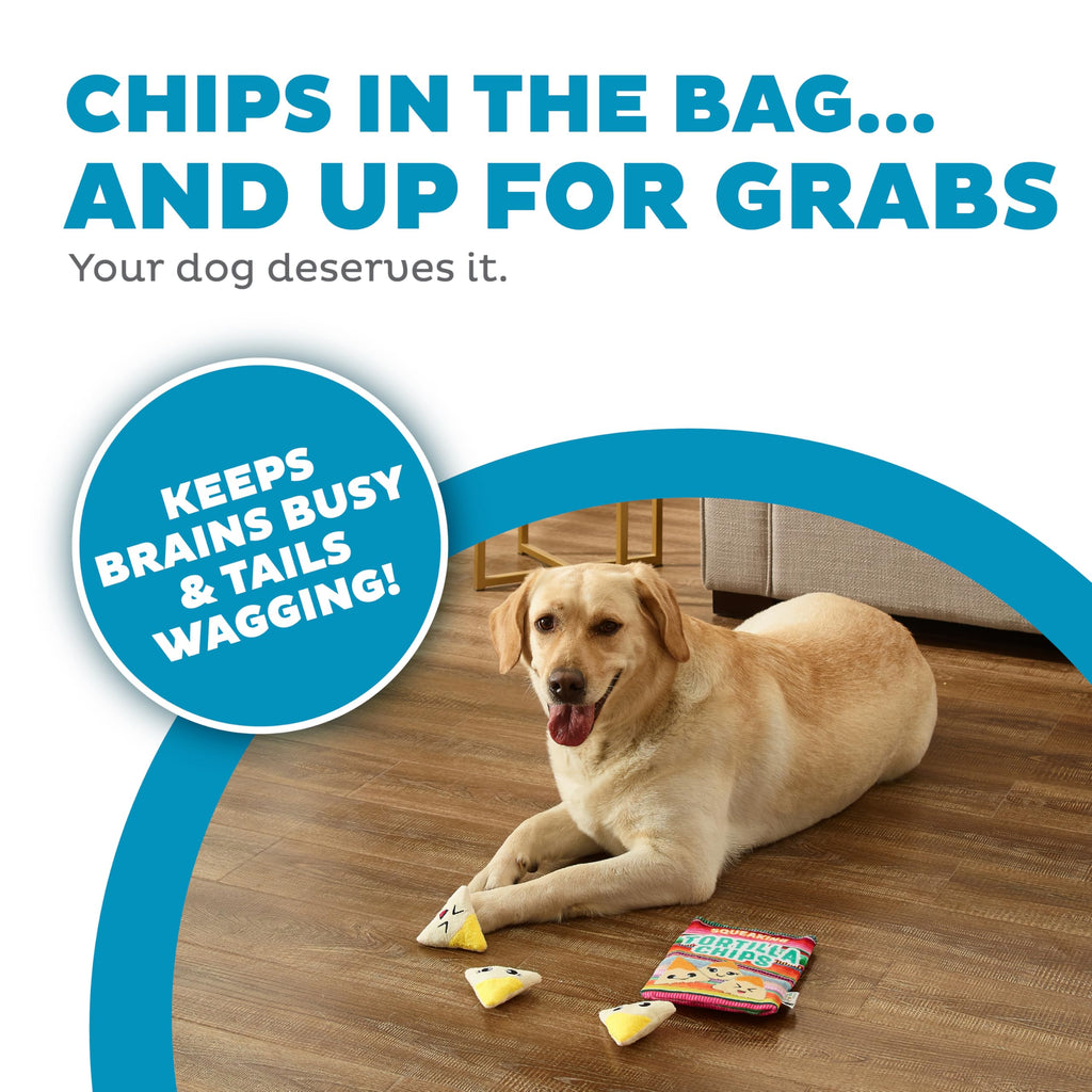 Tortilla Chips Puzzle Squeaky Dog Toys J851739